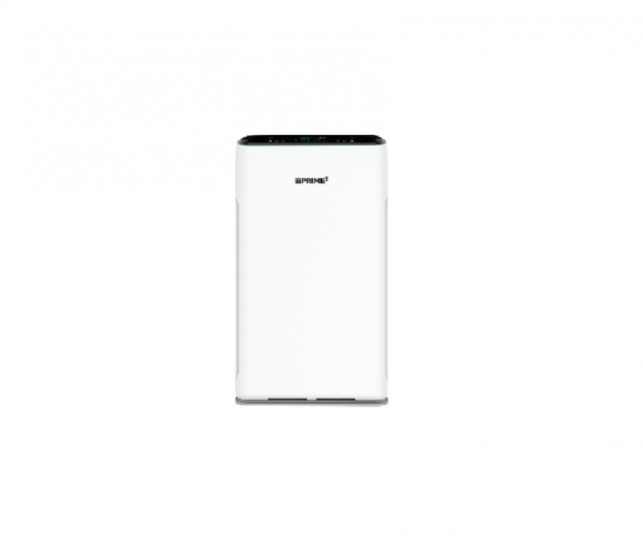 sap_81_front_650